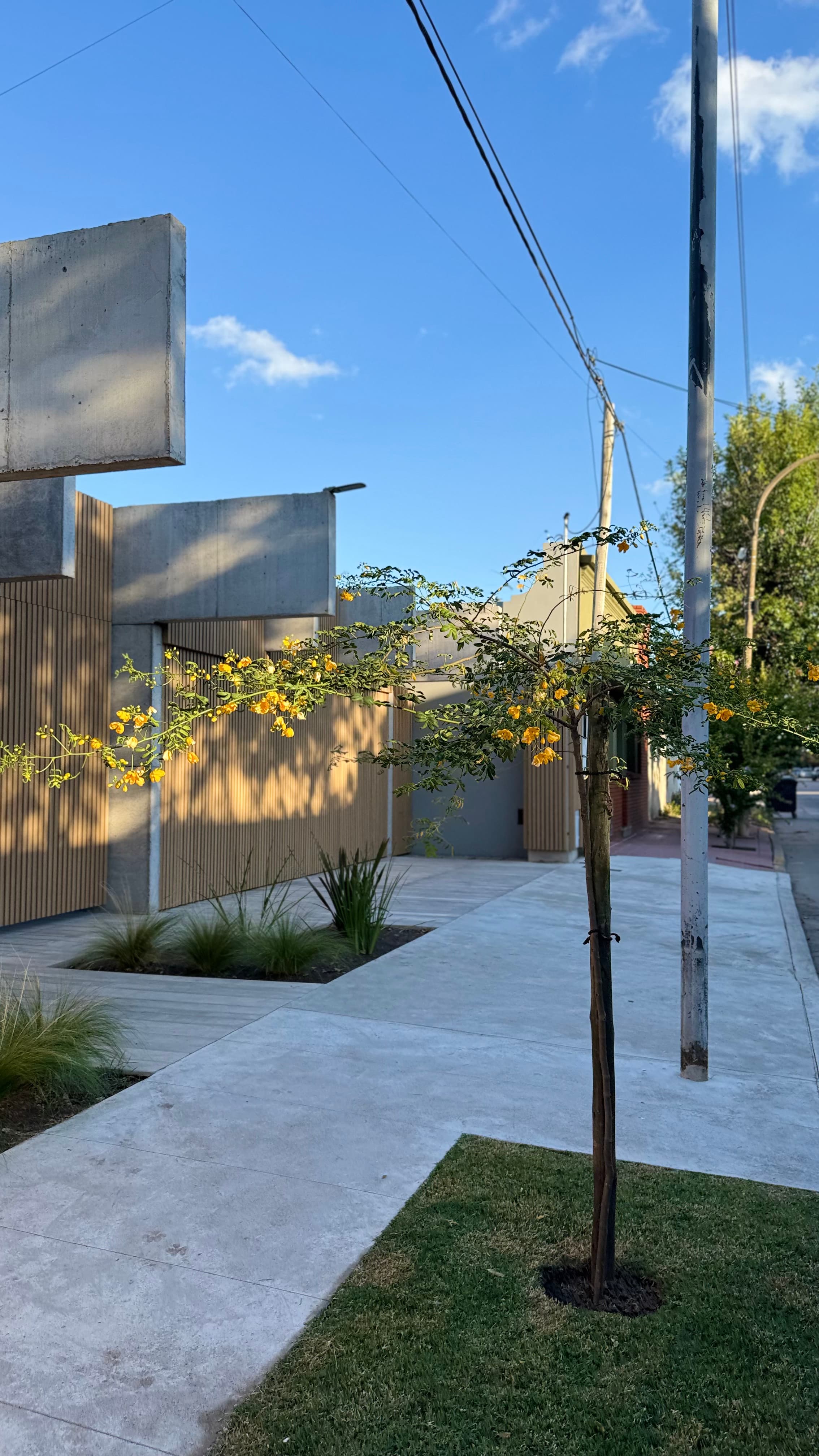Jardín para Pauli y Alejo